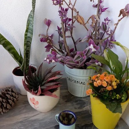 Tatil Evi Casa25 Alenquer