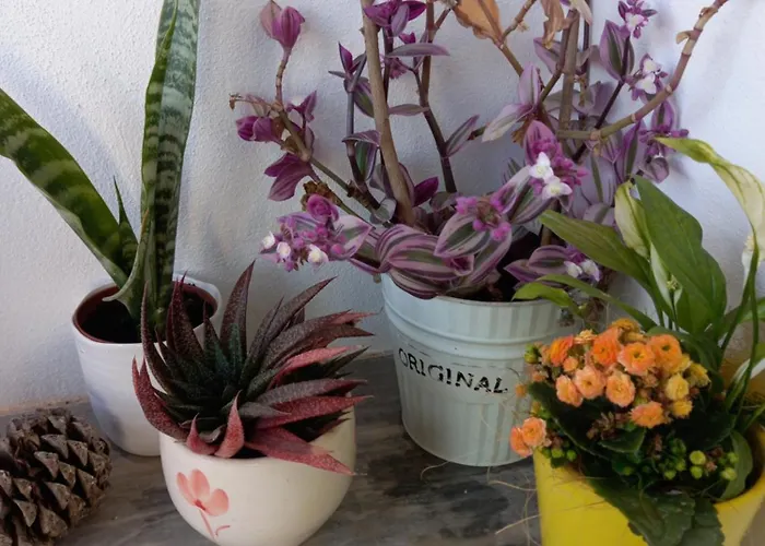 Hébergement de vacances Casa25 Alenquer